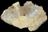 Fluorescent Calcite Geode In Sandstone - Morocco #89682-1